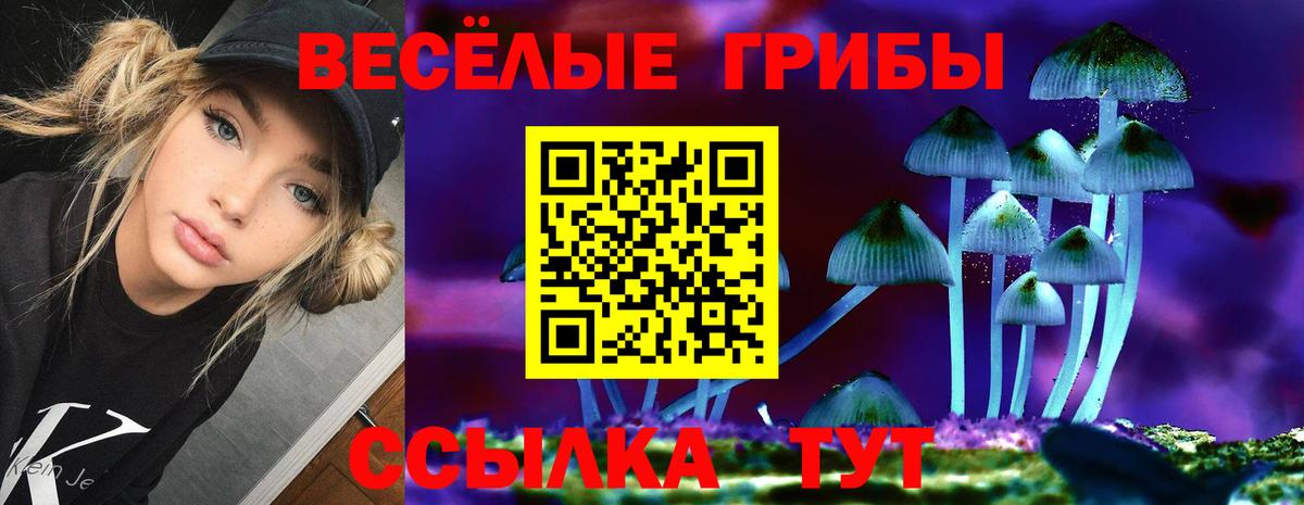 Псилоцибиновые грибы Magic Shrooms Люберцы