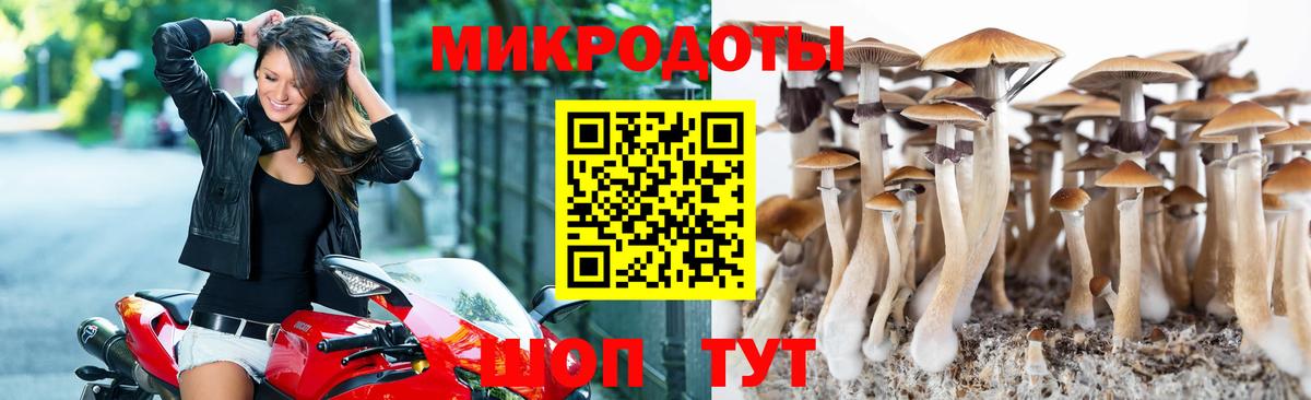 Люберцы  Псилоцибиновые грибы ЛСД  Галлюциногенные грибы мицелий  Вход с VPN 